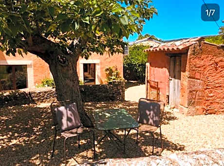 Studio with Garden View