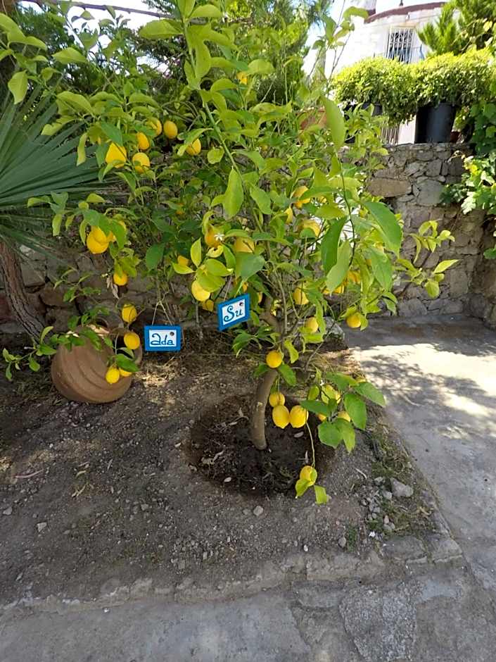 Panorama Hotel Bodrum