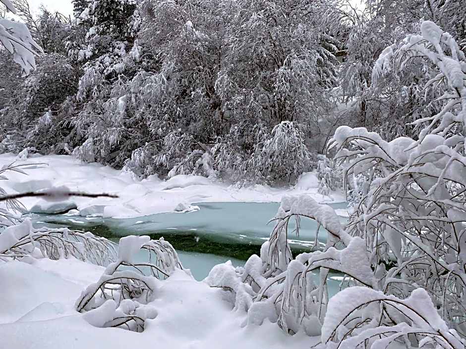 Marigold - Ferien Seminar Retreat