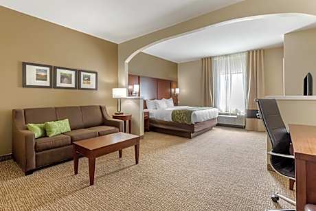 1 King Bed, Suite, Nonsmoking