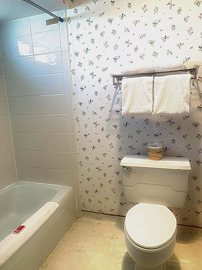 Econo Lodge Inn & Suites Winnemucca