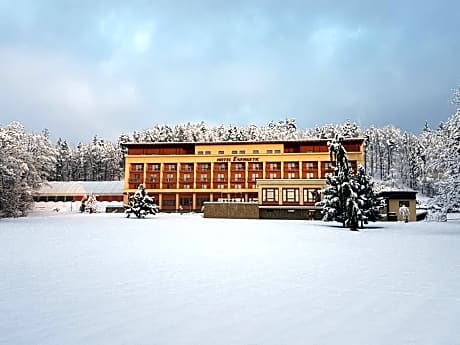 Wellness Resort Energetic