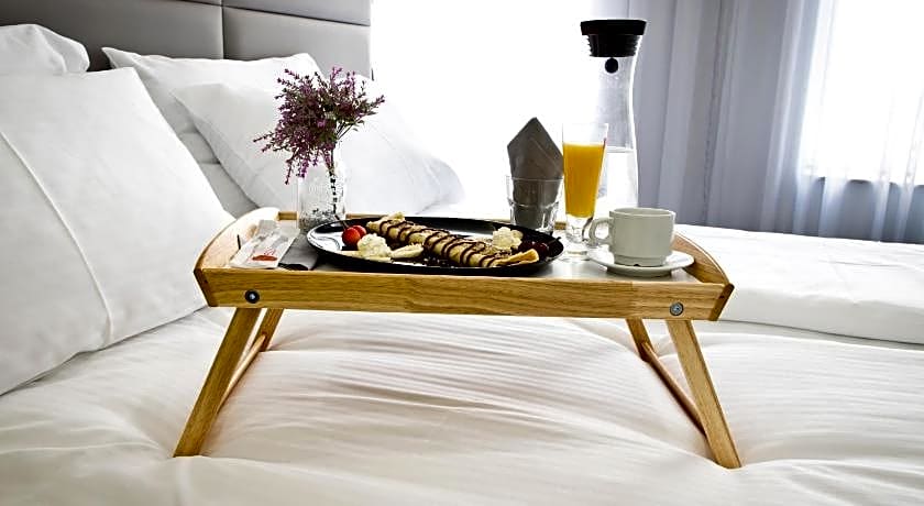 Plovdiv City Center Hotel