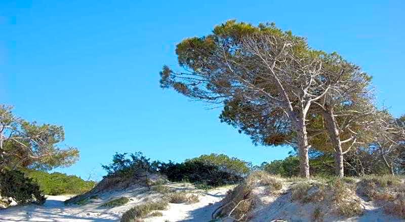 Gardenia Casa Vacanze