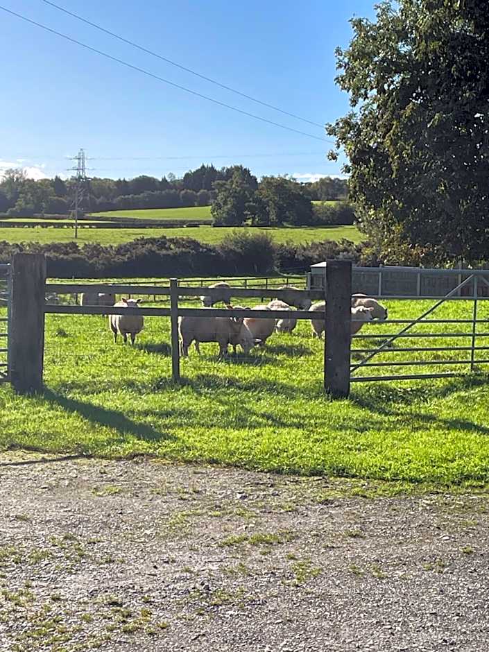 Oakenholt Farm Bed and Breakfast