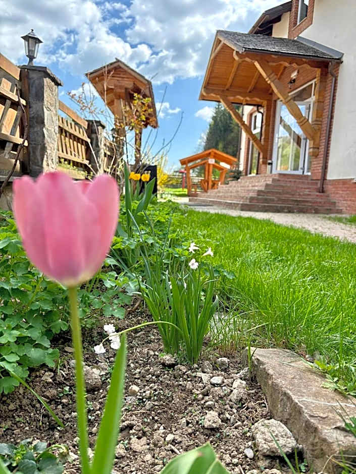 Pensiunea Popas Pop, Strambu-Baiut, Maramures