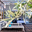 Brasil Suites Boutique Hotel