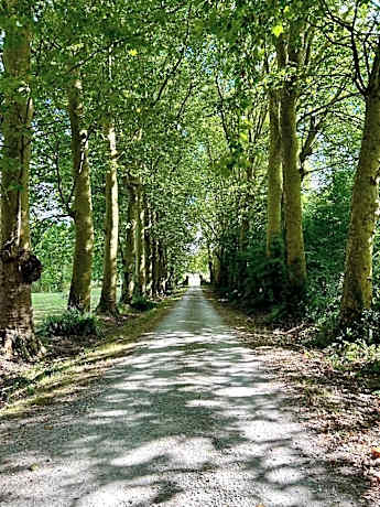 Domaine de Fontsauzine - gîtes et chambre d'hôtes