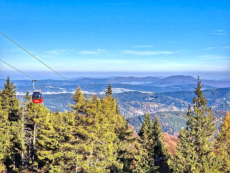 NOVAK CHALET domki z balią Krynica Zdrój