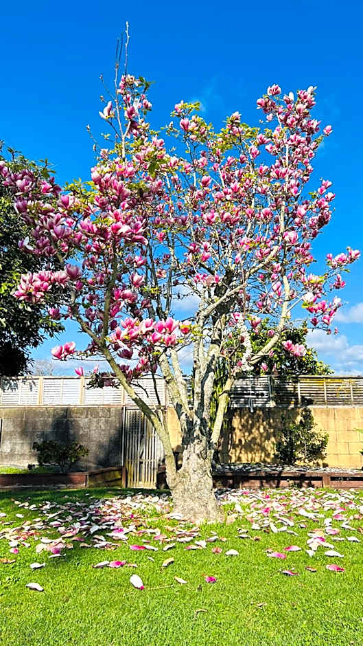 18th Avenue Thermal Motel