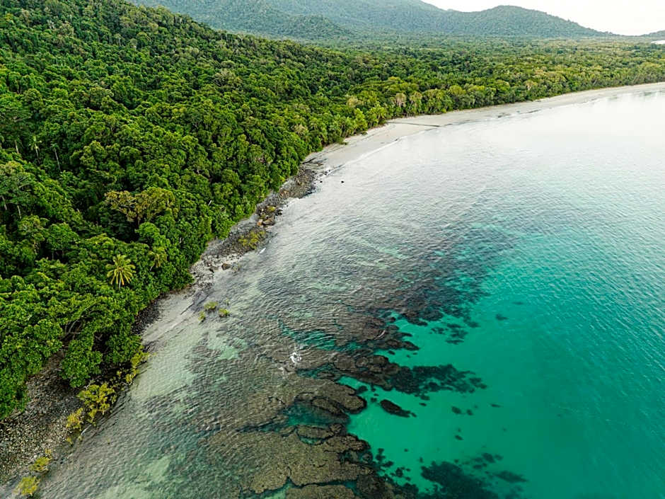 mist at Cape Tribulation