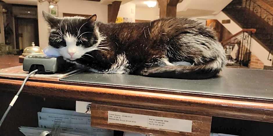 Hotel Młyn Aqua Spa Biblioteka