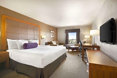 1 Queen Bed Accessible Room Non-Smoking