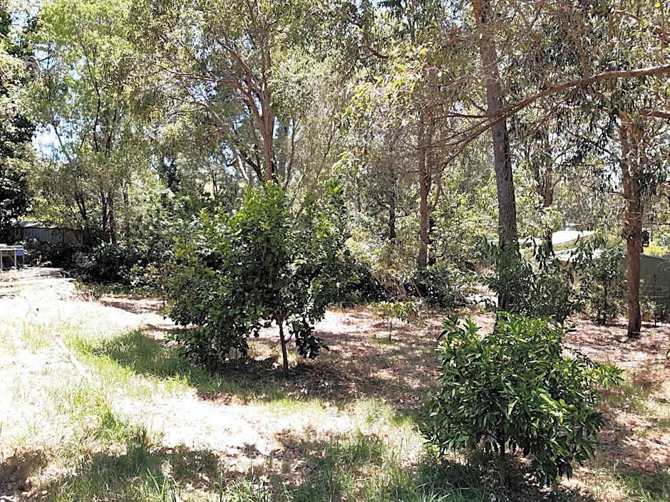 Mundaring Bed and Breakfast