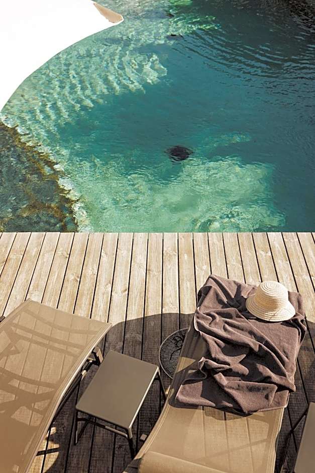 ASTER Boutique Hotel & Chalets