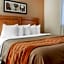 Comfort Inn South