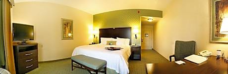 1 King Bed Nonsmoking