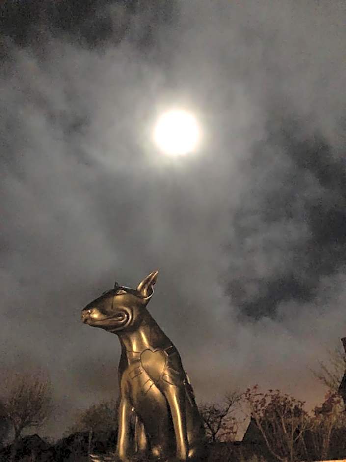 Loire Valley Lodges - Hotel