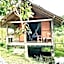 Frog Garden Hut