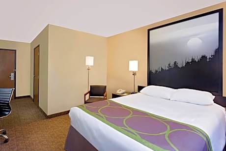 1 Queen Bed Mobility Accessible Room Non-Smoking