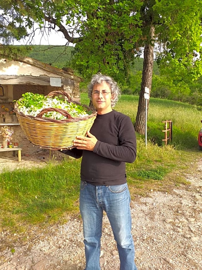 B&B Il Sentiero nel Bosco