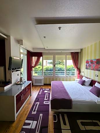 Double Room with Terrace