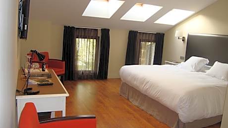 Double or Twin Room - Disability Access