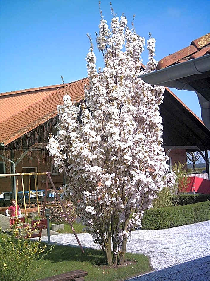 Hotel Marianne und Restaurant Kiek In