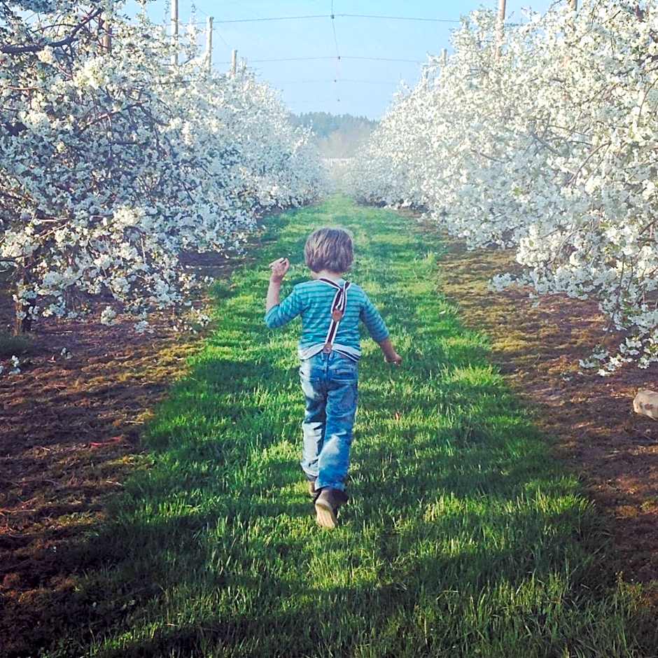 Gut Hügle Erlebnishof & Spa