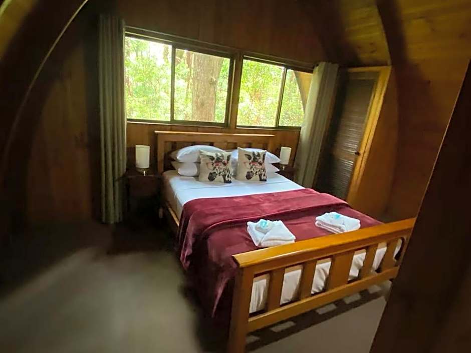 Springbrook Mountain Chalets