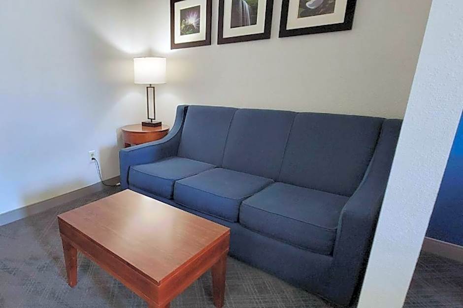 Comfort Inn Bessemer Birmingham South