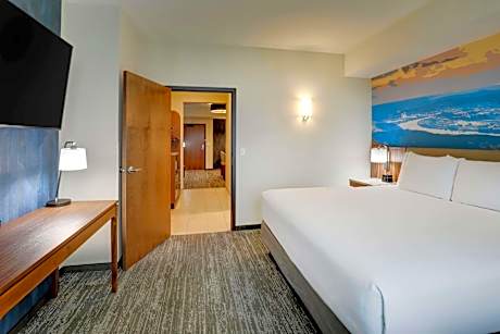 King Suite with Sofa Bed - Accessible, Roll-in Shower