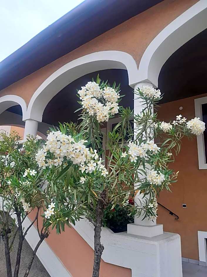 Turmhof Breitenbrunn