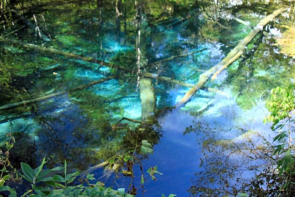 Traveler's Inn Asanebo