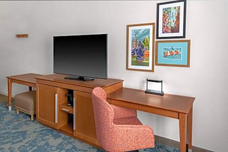 1 King Mobility/Hearing Acc Ri Shower Nosmok