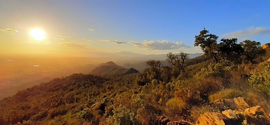 Suite & Spa Panoramic Olivars