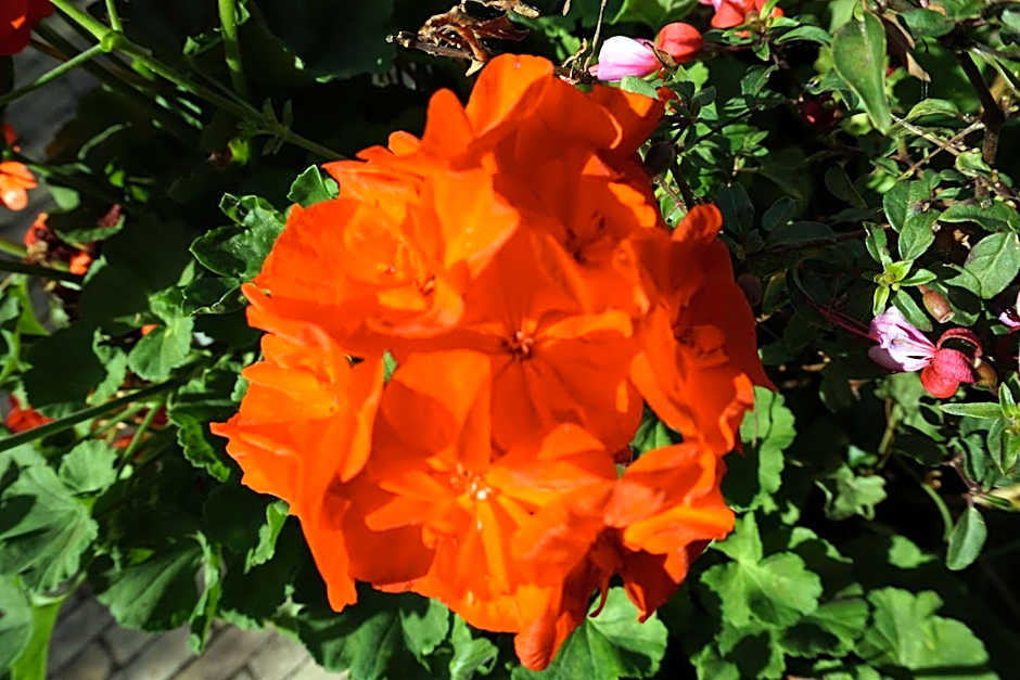 The Originals City, Hotel Anaiade, Saint-Nazaire (Inter-Hotel)