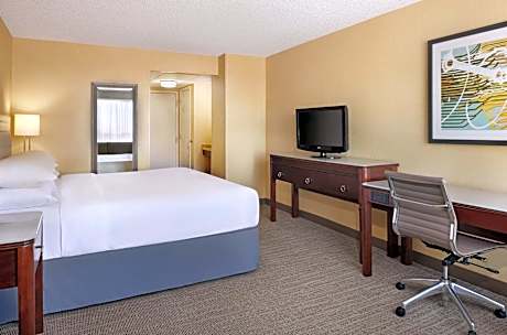 Room, 1 King Bed (1 King Bed)