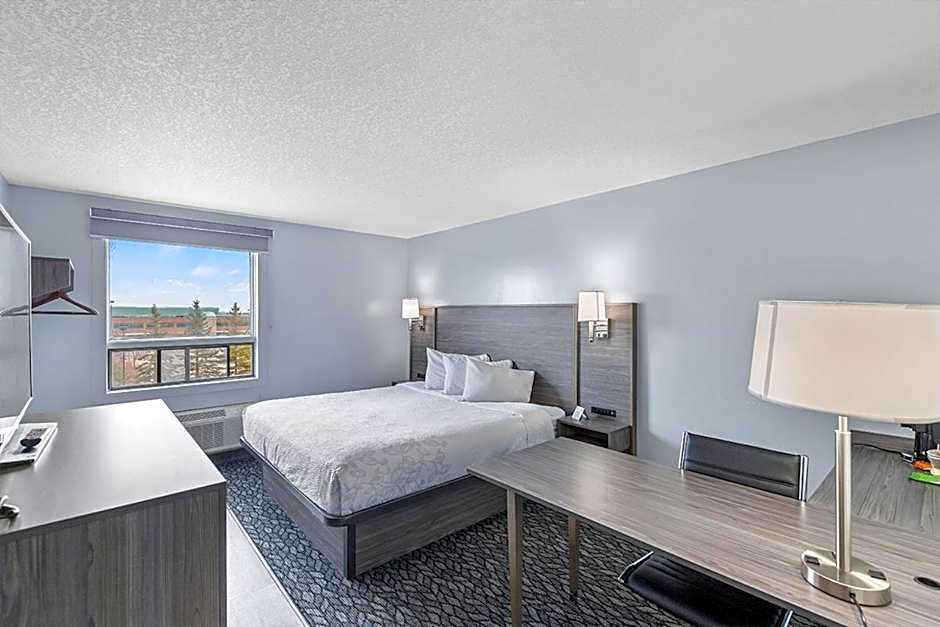 Photo 1 of 4 of Standard 1 King Bed