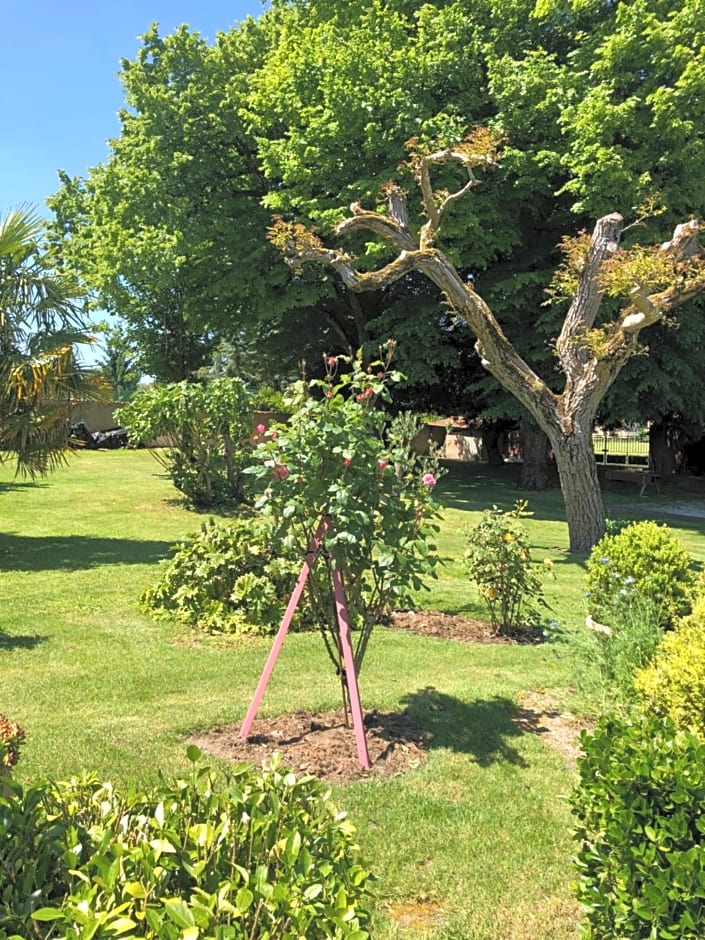 Chambres d hôtes Villa Anani Cosson alex