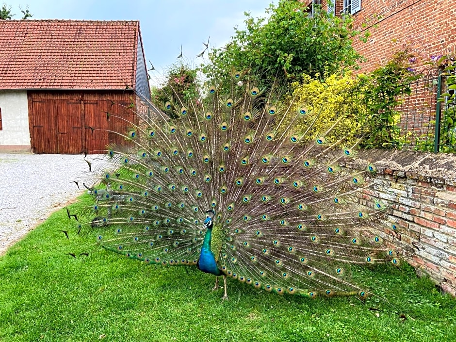 Château d'Aigneville