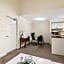 Luxurious City Apartment