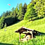 Sonnenhof Wengen - First Hotel of Wengen
