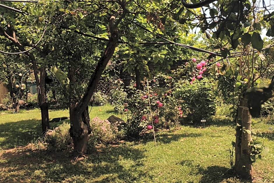 B&B CasaNera