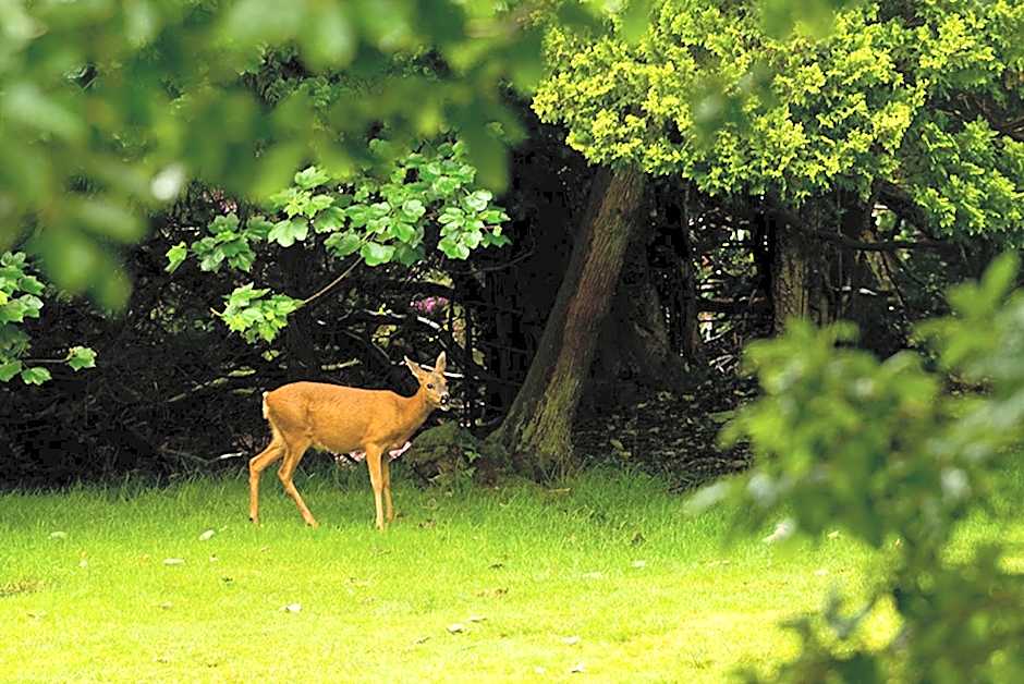 YHA Grasmere Butharlyp Howe