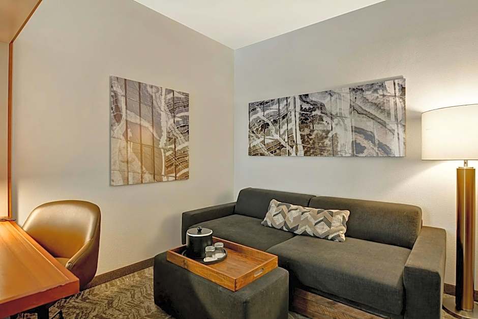 SpringHill Suites by Marriott Cincinnati Midtown