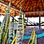 Carri Surf Studio