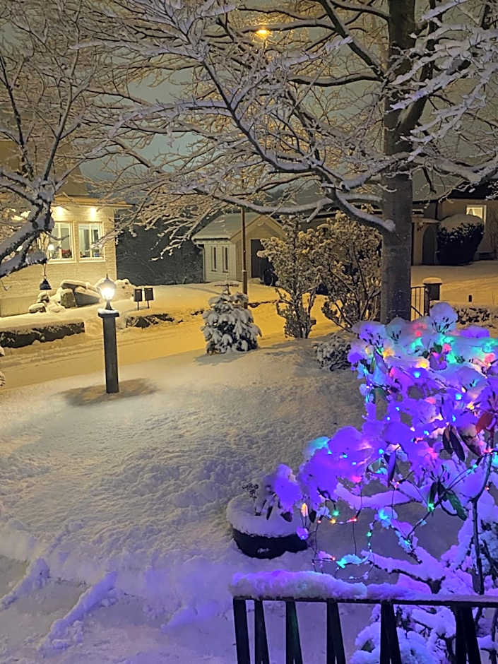 Lugnt och centralt läge