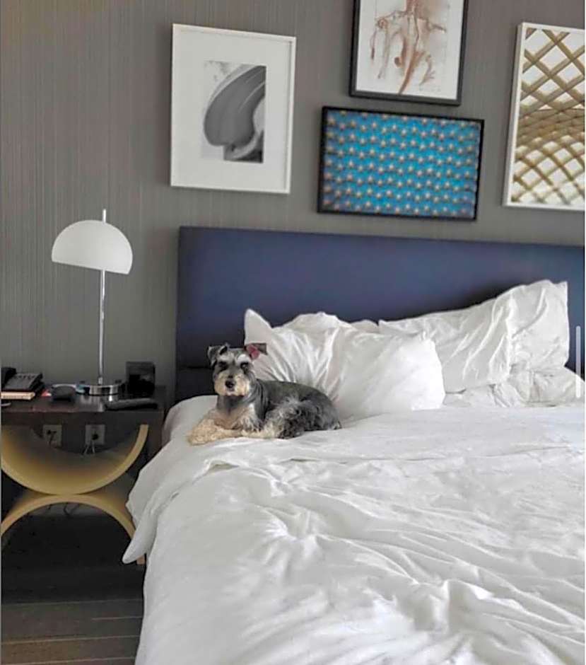 Le Meridien Arlington