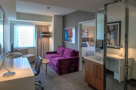 One-Bedroom King Suite
